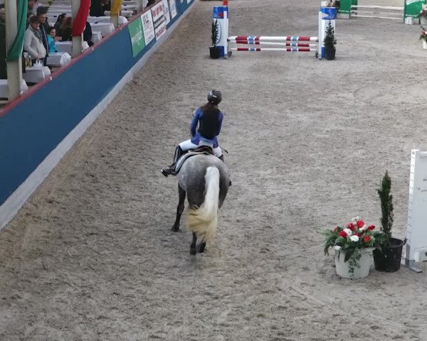 Reitturnier Oberriet 2020