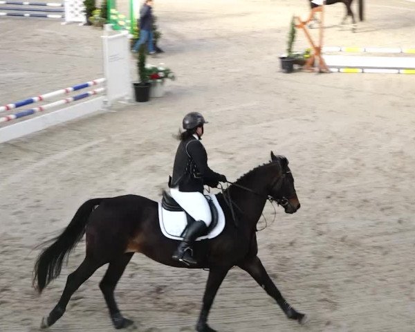 Reitturnier Oberriet 2020