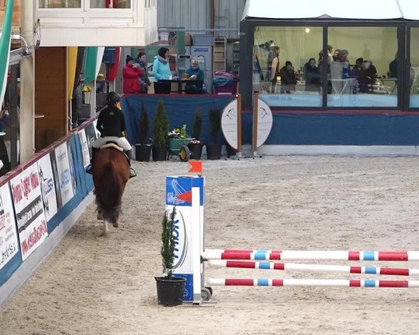 Reitturnier Oberriet 2020