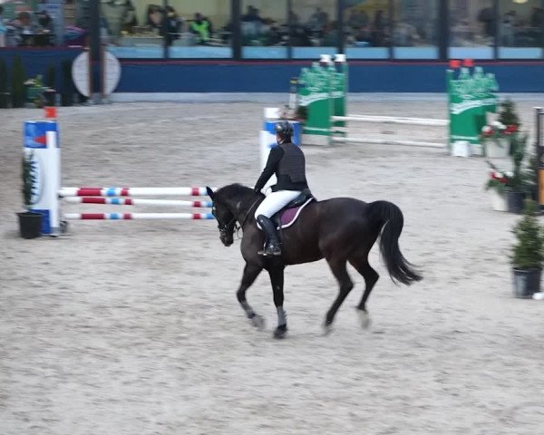Reitturnier Oberriet 2020