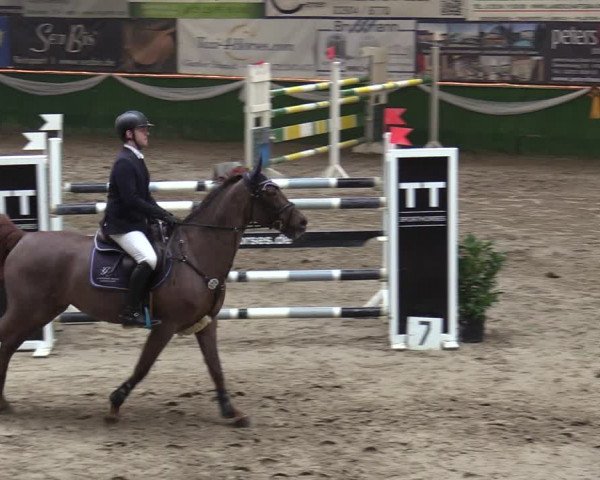 Reitturnier Keppeln - Reitanlage "Hötzenhof" 2020