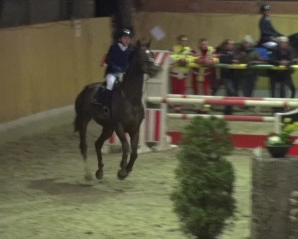 Reitturnier Monheim - Gut Blee 2020