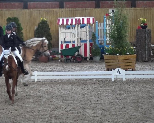 Reitturnier Monheim - Gut Blee 2020