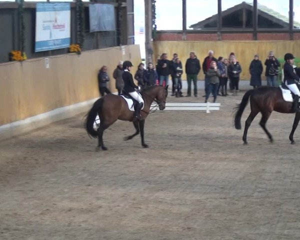 Reitturnier Monheim - Gut Blee 2020