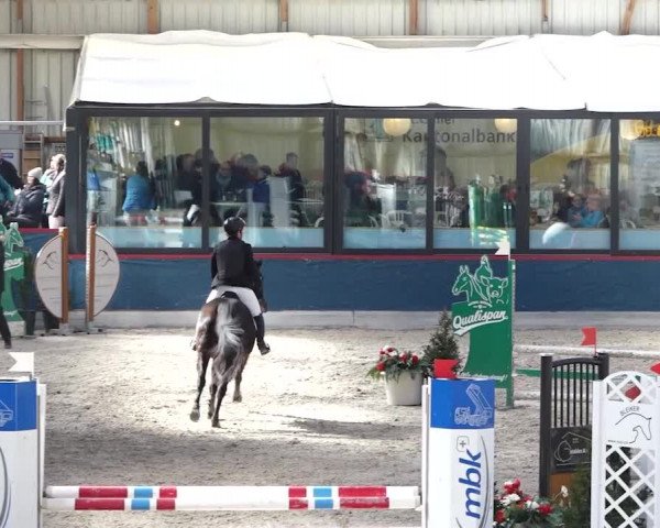 Reitturnier Oberriet 2020