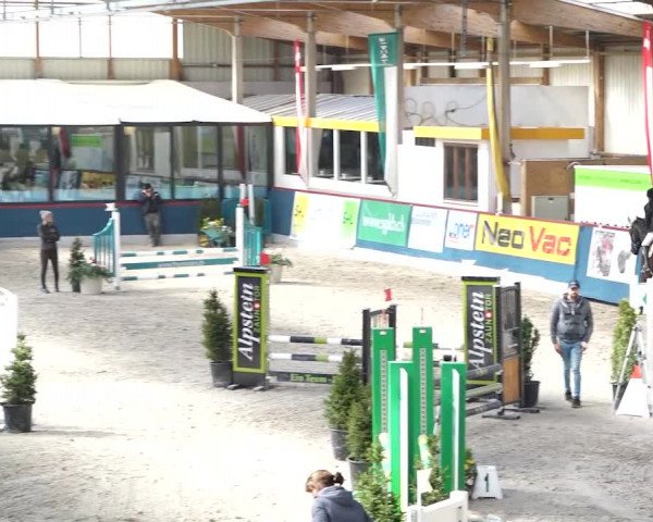 Reitturnier Oberriet 2020