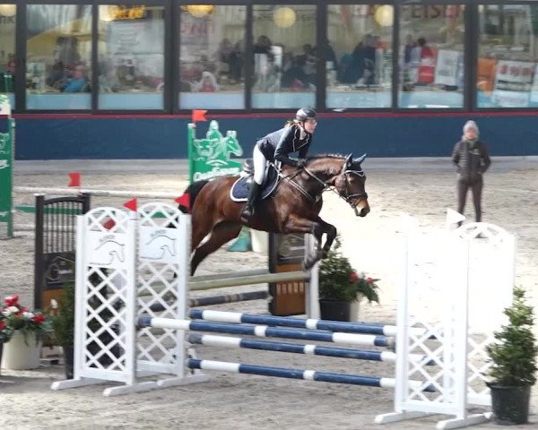 Reitturnier Oberriet 2020