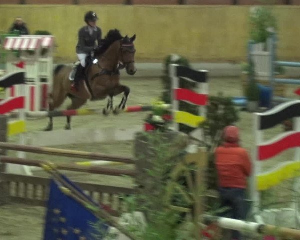 Reitturnier Monheim - Gut Blee 2020