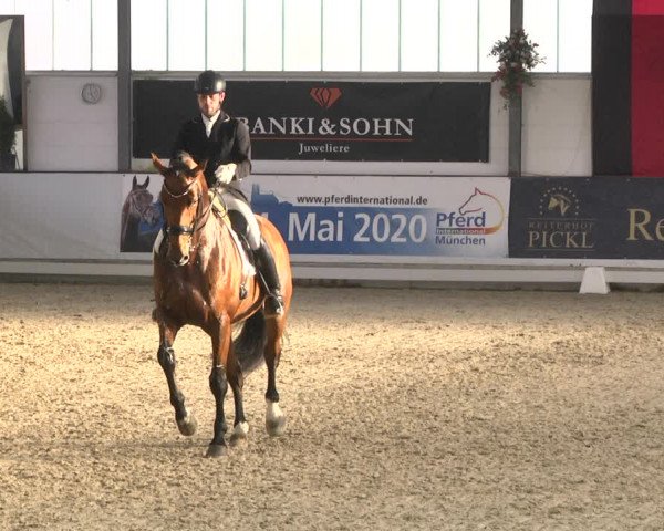 Reitturnier Karlsfeld/Obb. 2020