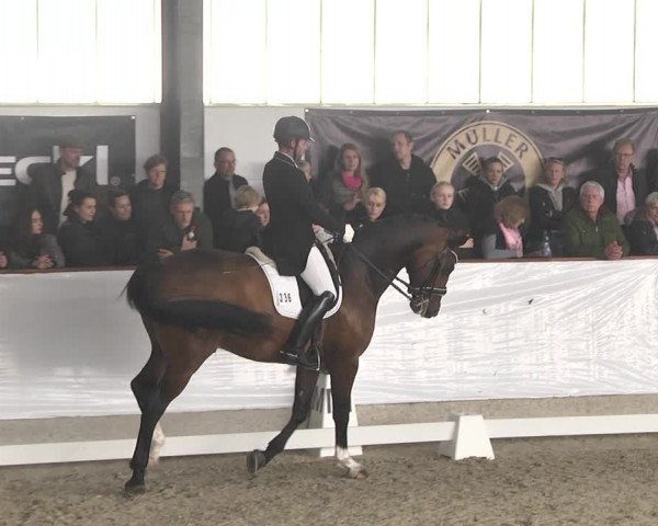 Reitturnier Karlsfeld/Obb. 2020
