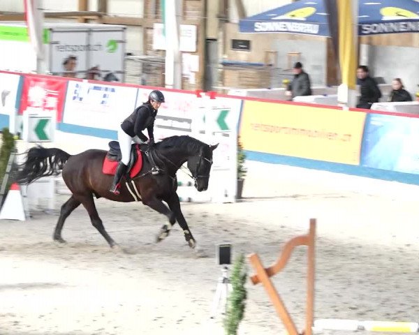 Reitturnier Oberriet 2020