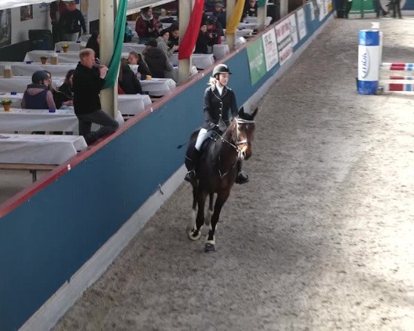 Reitturnier Oberriet 2020