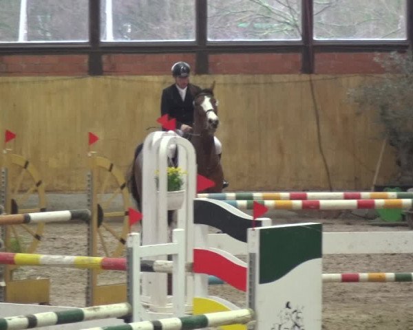 Reitturnier Monheim - Gut Blee 2020