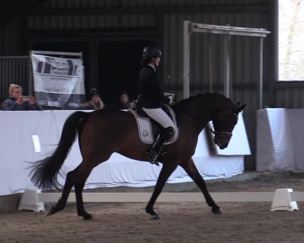 Reitturnier Greven 2020