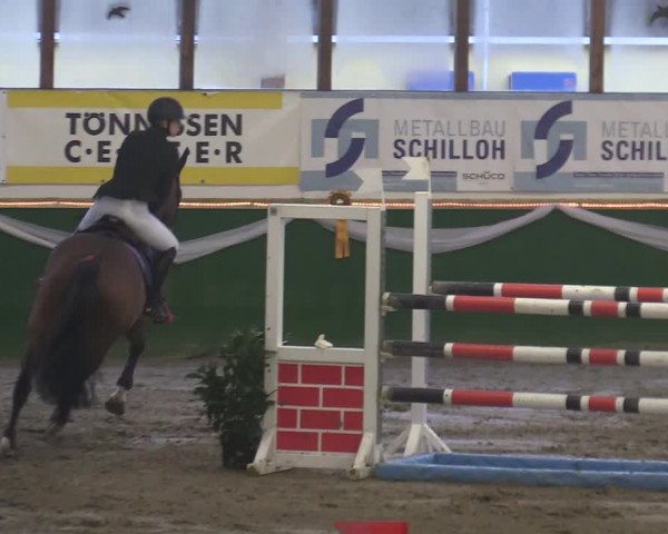 Reitturnier Keppeln - Reitanlage "Hötzenhof" 2020