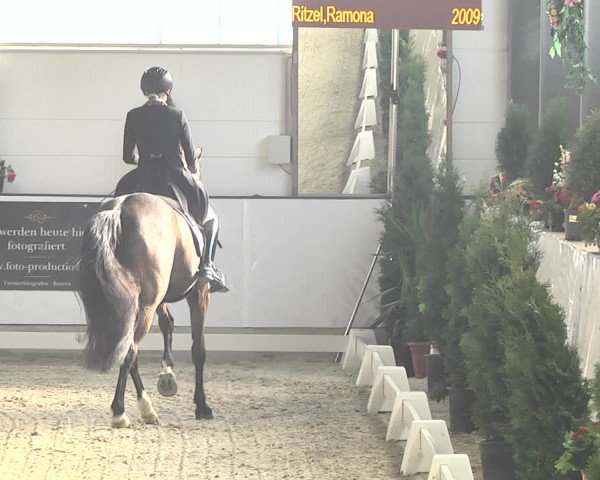 Reitturnier Karlsfeld/Obb. 2020