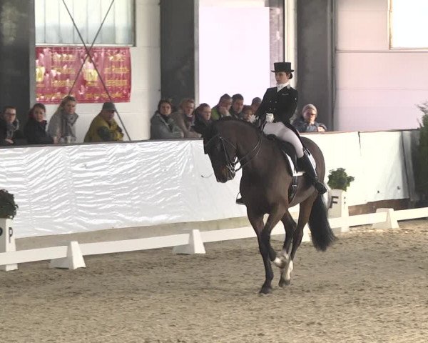 Reitturnier Karlsfeld/Obb. 2020