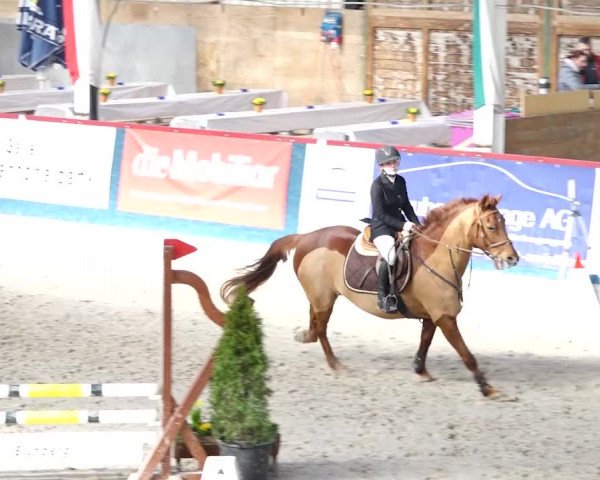 Reitturnier Oberriet 2020