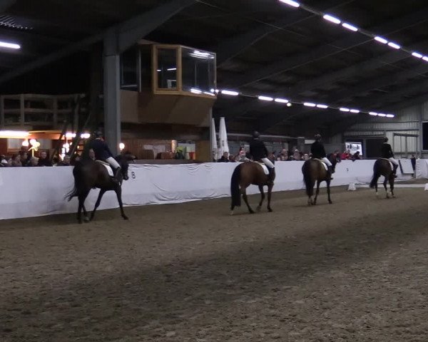 Reitturnier Greven 2020