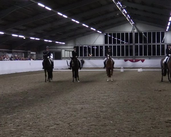Reitturnier Greven 2020