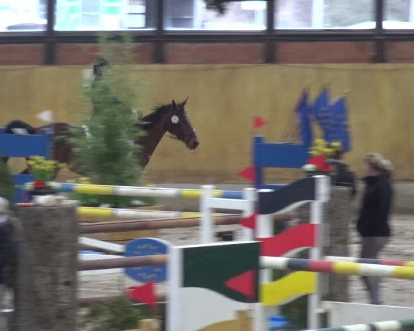 Reitturnier Monheim - Gut Blee 2020