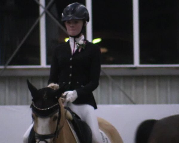 Reitturnier Greven 2020