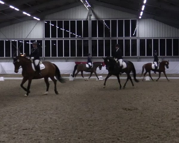 Reitturnier Greven 2020