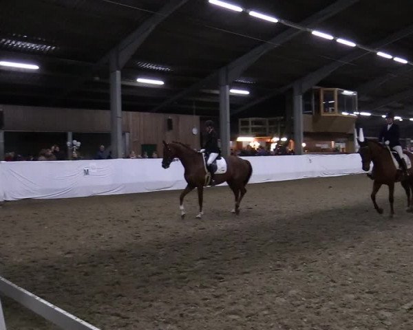 Reitturnier Greven 2020