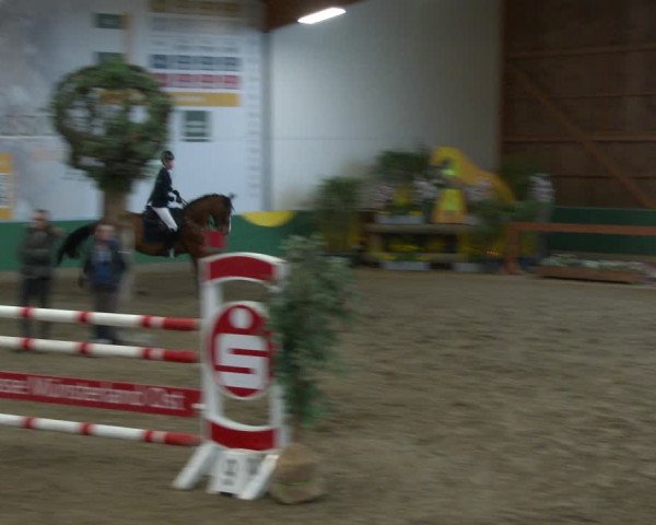 Reitturnier Warendorf-Freckenhorst 2020
