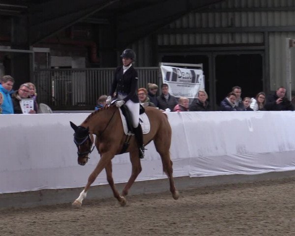 Reitturnier Greven 2020