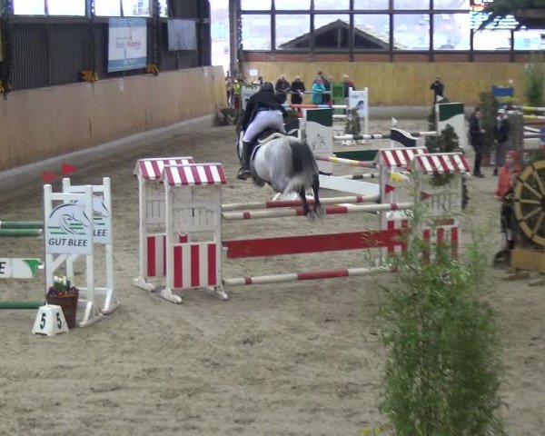 Reitturnier Monheim - Gut Blee 2020