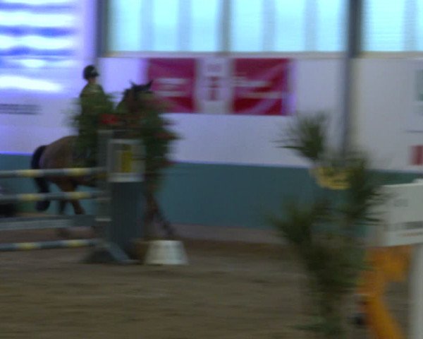 Reitturnier Warendorf-Freckenhorst 2020