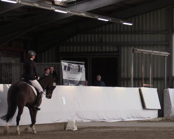 Reitturnier Greven 2020