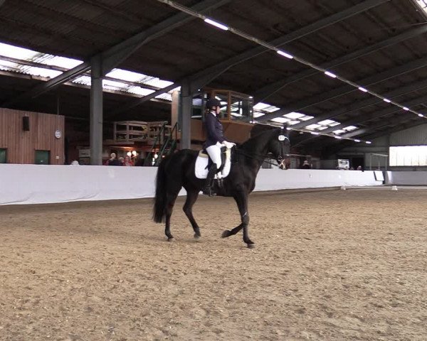 Reitturnier Greven 2020