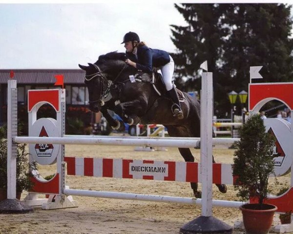 jumper Cincinatti's Boy (Brandenburg, 1996, from Cincinatti)