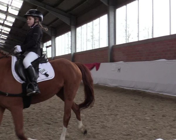 Reitturnier Greven 2020