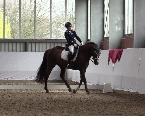 Reitturnier Greven 2020