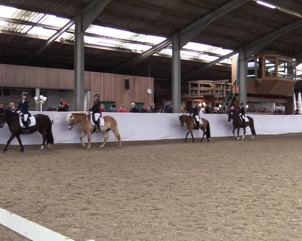Reitturnier Greven 2020