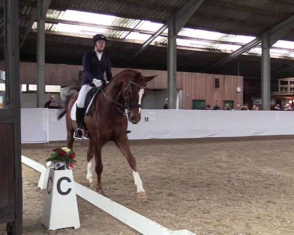 Reitturnier Greven 2020