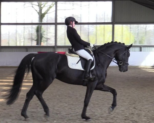 Reitturnier Greven 2020
