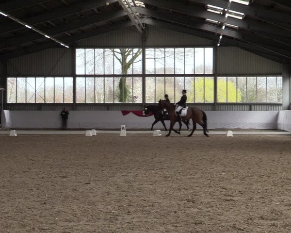 Reitturnier Greven 2020