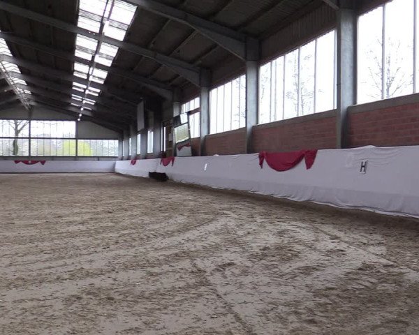 Reitturnier Greven 2020