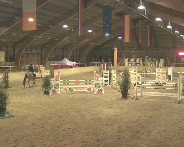 Reitturnier Heidelberg-Kirchheim 2020