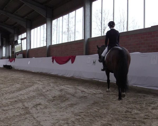Reitturnier Greven 2020