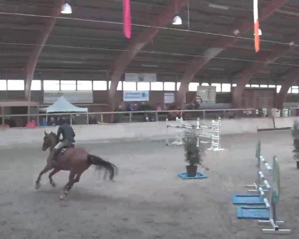 Reitturnier Heidelberg-Kirchheim 2020