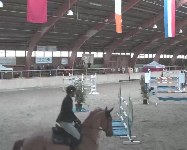 Reitturnier Heidelberg-Kirchheim 2020