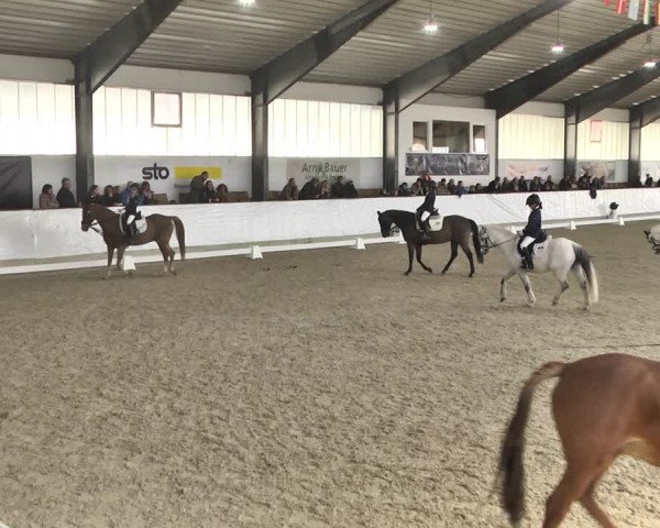 Reitturnier Karlsfeld/Obb. 2020