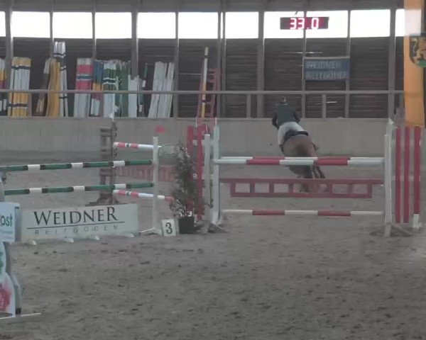 Reitturnier Heidelberg-Kirchheim 2020