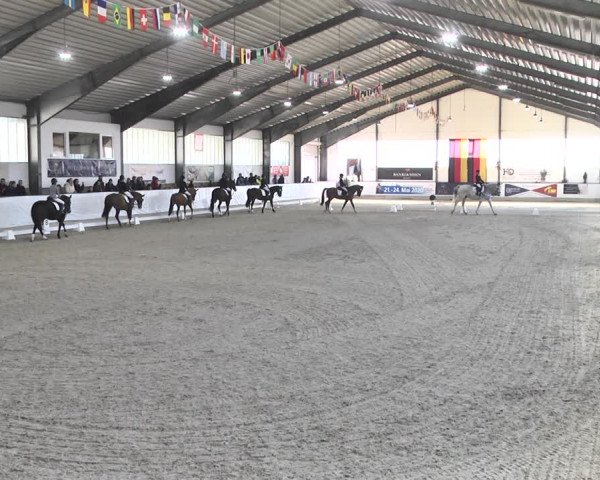 Reitturnier Karlsfeld/Obb. 2020