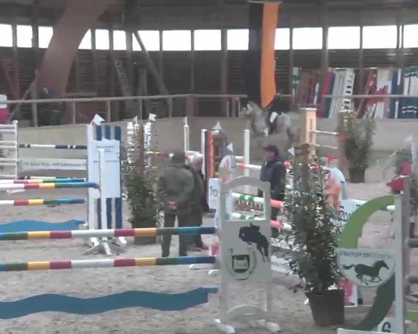 Reitturnier Heidelberg-Kirchheim 2020